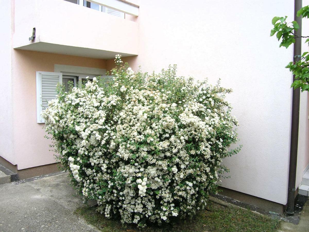 Apartments Sokolovic Krk Town Exterior photo